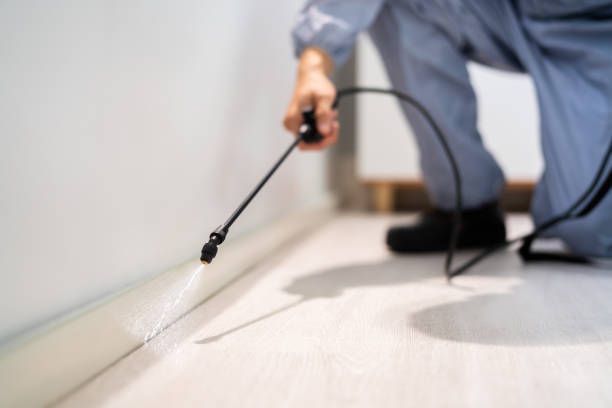Licensed Cockroach Control service in Litchfield, IL - Nex Pest Control