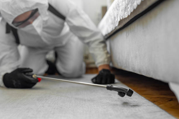 Professional Cockroach Control technician working in Litchfield, IL