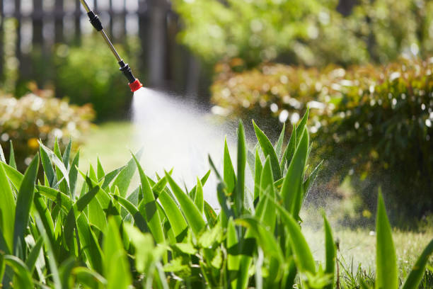 24/7 Emergency Cockroach Control experts in Litchfield, IL