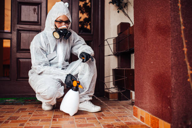 Reliable Cockroach Control contractor in Litchfield, IL by Nex Pest Control